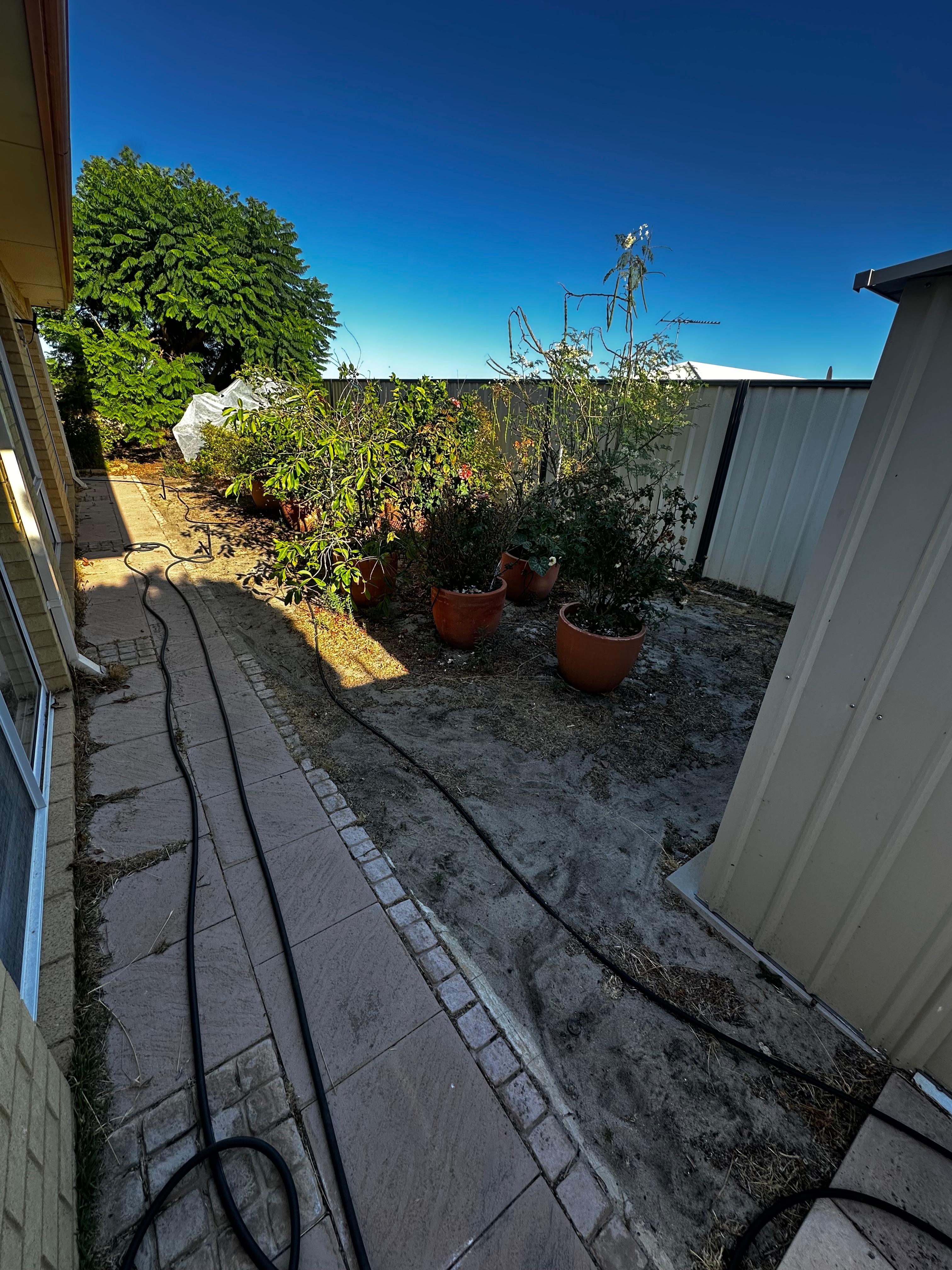 Side yard before artificial turf installation