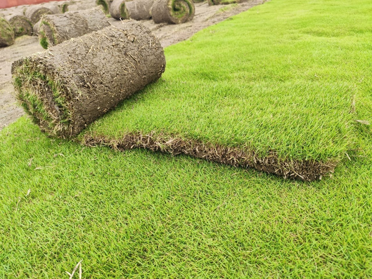 Natural turf being laid on a Perth job site