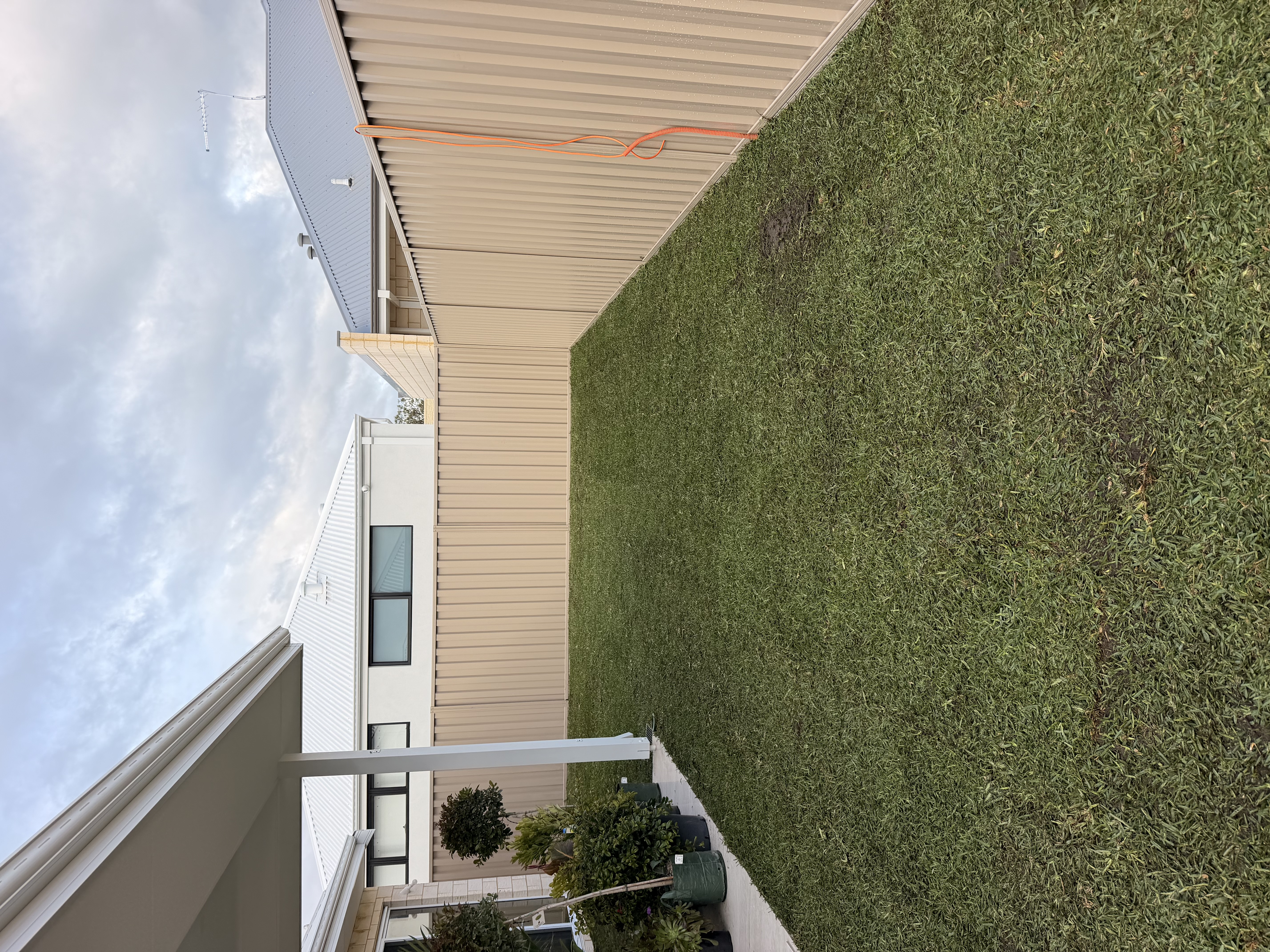 Finished natural lawn filling a backyard
