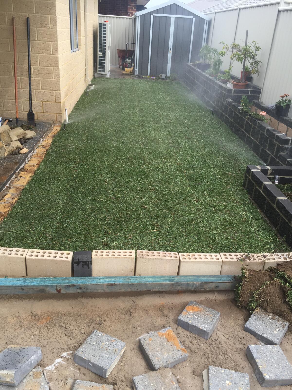 Sprinkler watering a natural grass lawn