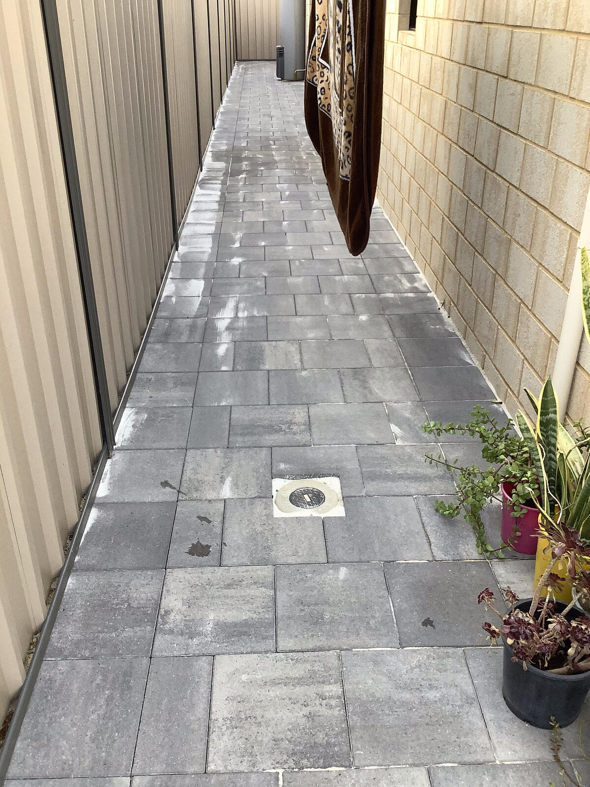 Paved side path alongside the house